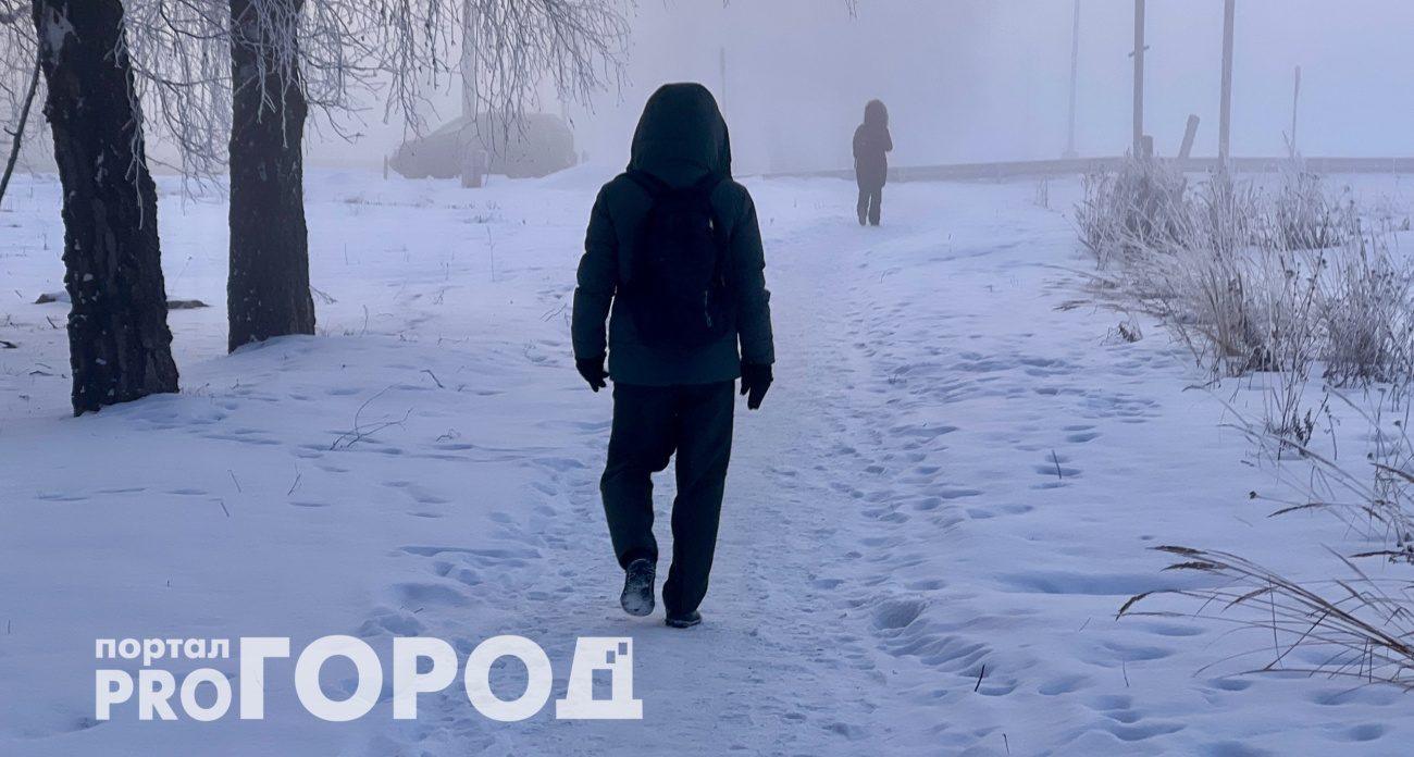 Зима обрушится безжалостно и резко: Вильфанд ответил, когда закончится теплый период предзимья