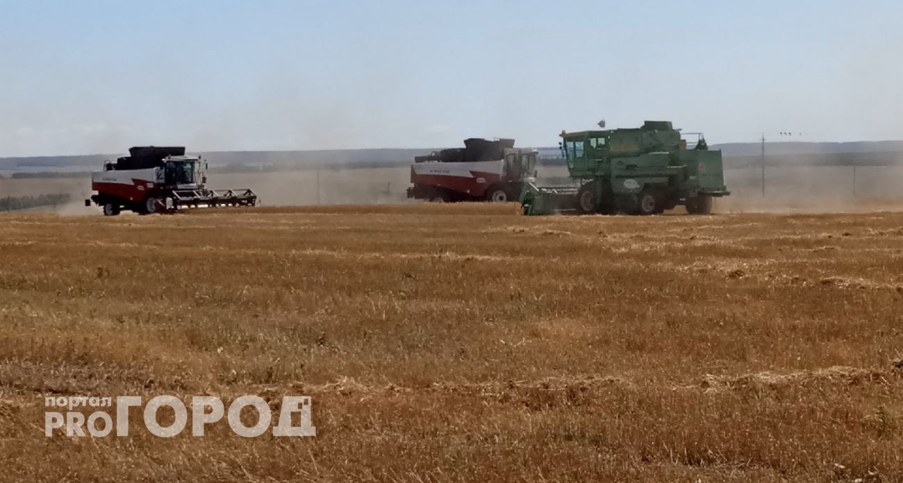 Чем Чувашия кормит индийцев, китайцев, белорусов и эмиратцев