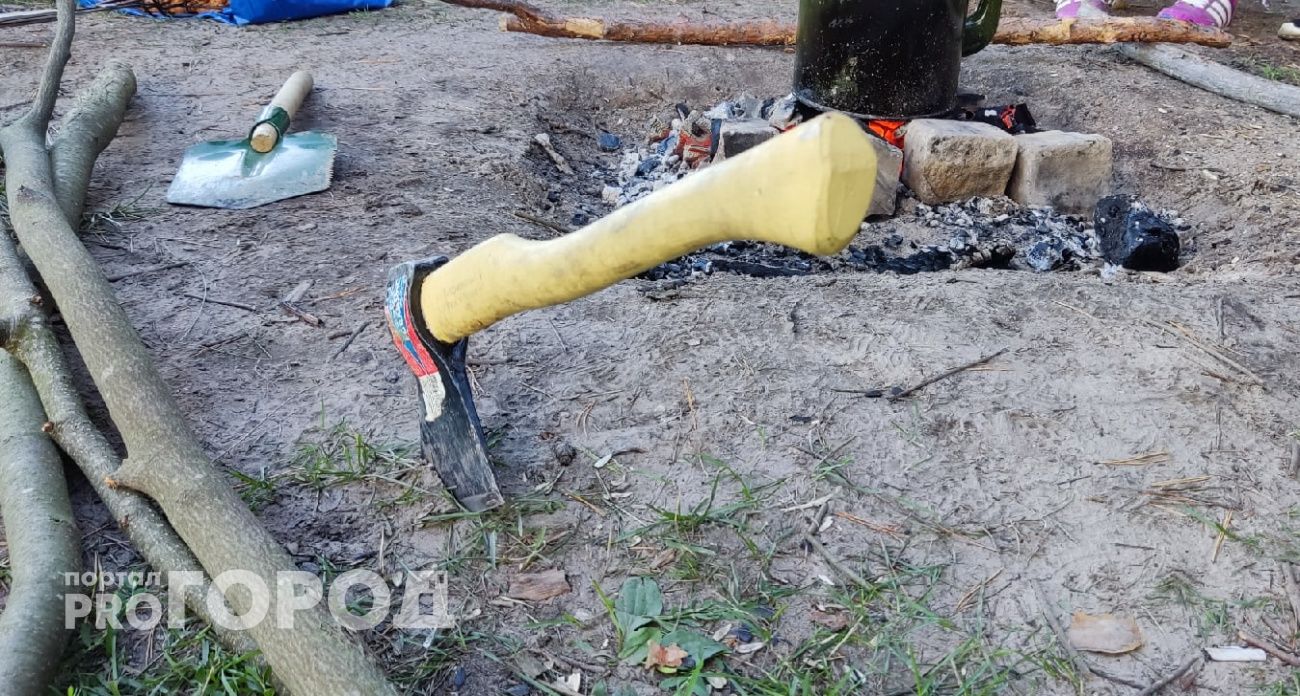 Жительница Чувашии зарубила топором родственника