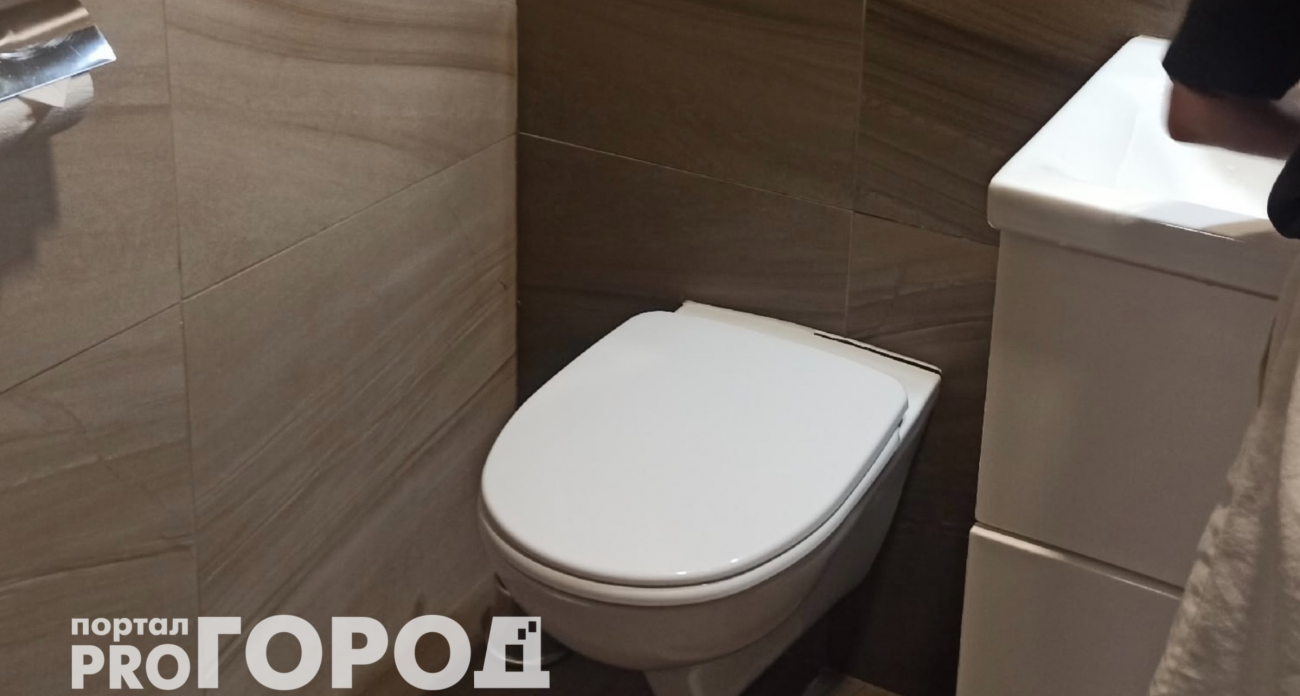 После одного случая всегда опускаю крышку унитаза и всем советую: почему нельзя оставлять открытым