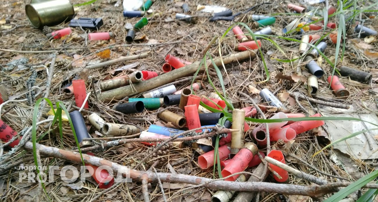 В Мариинско-Посадском районе появятся новые места для охоты на животных