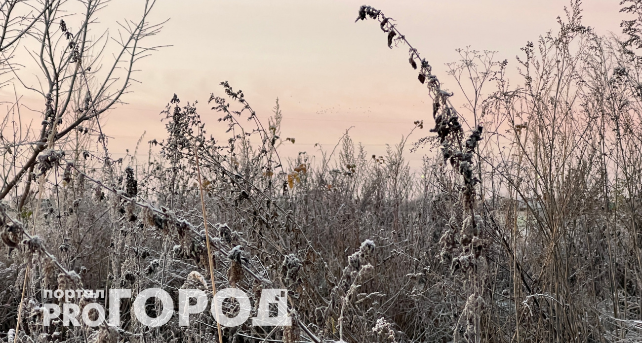 Климат развернется очень неожиданно: зима 2025-2026 годов может стать самой холодной за десятилетие