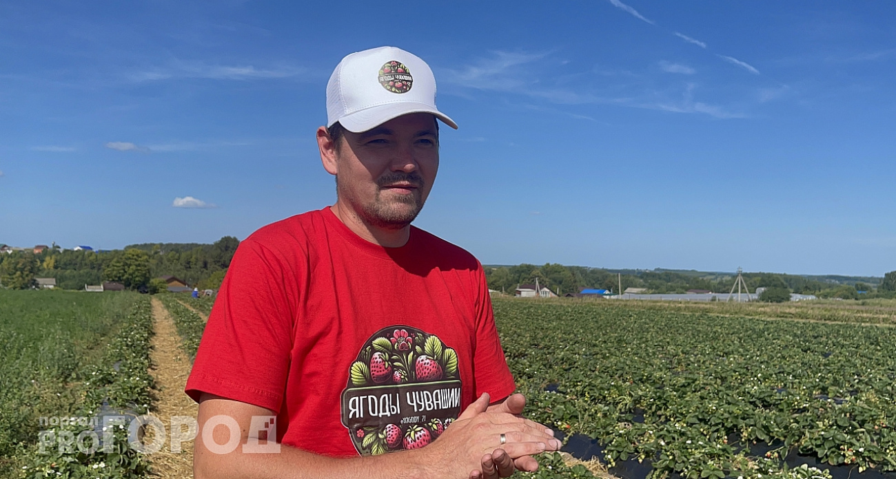 Фермер из Чувашии с блогом о клубнике вошел в сотню финалистов премии Минсельхоза России
