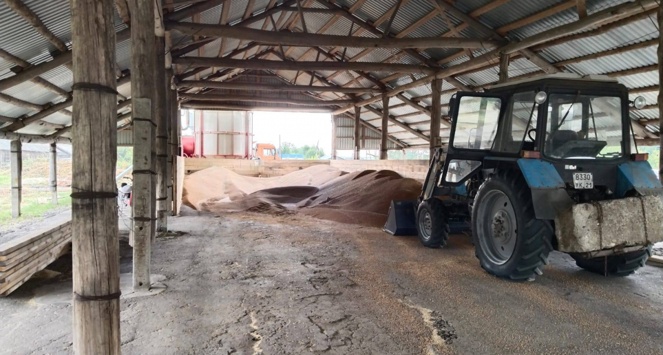 Работница сельхозпредприятия в Чувашии задохнулась, заваленная тоннами пшеницы