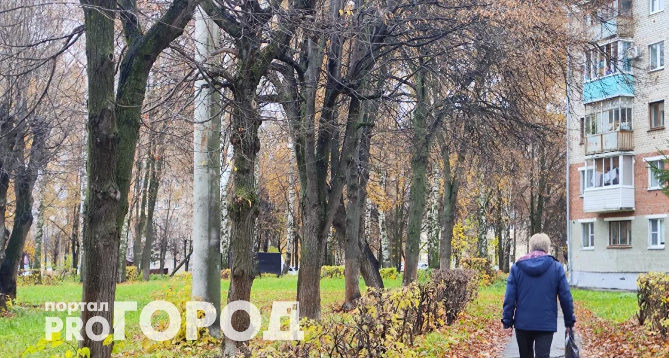 Экономим и радуем близких: лайфхаки недели о деньгах, подарках и уюте