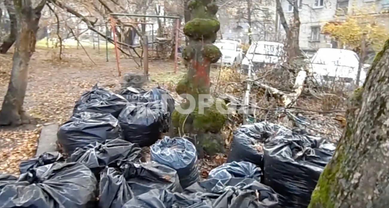 Чебоксарцы пожаловались на десятки мусорных мешков, которые никто не убирает: "Вороны все прогрызают"
