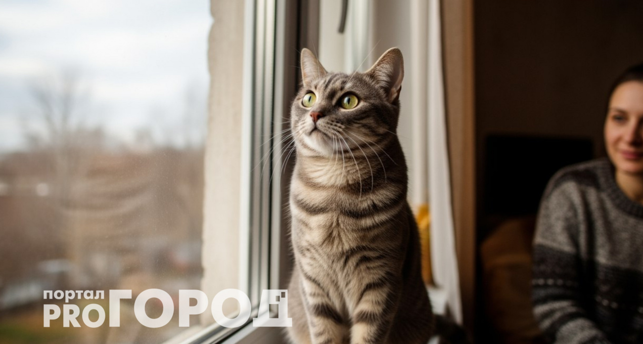 Владельцы в шоке: почему кошки буквально залипают у окна и не могут оторваться