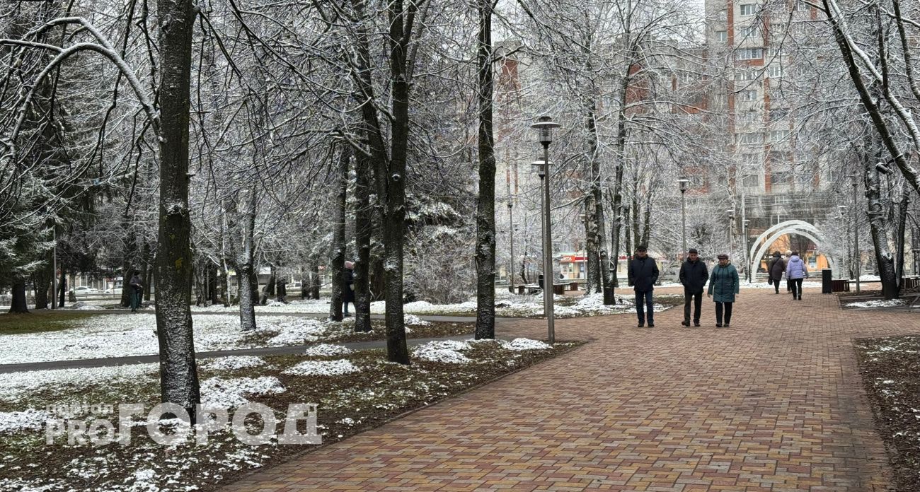 В начале декабря Чувашию ждет еврозима с сильным ветром без крепких морозов