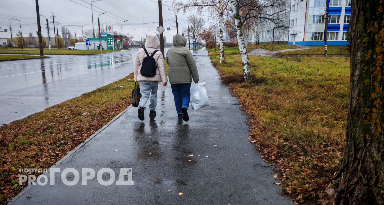 Осень не собирается уходить: погода в Чувашии на 27 ноября