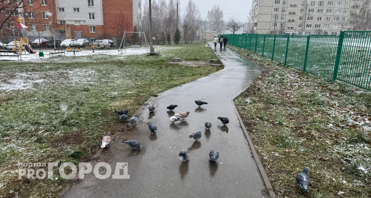 Скользкие дороги и туман: завтра в Чувашии дождь пойдет вместе со снегом