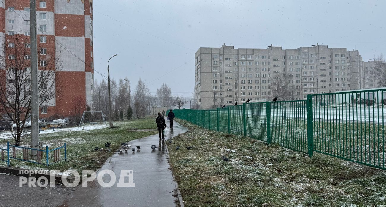 Осталось три дня: у жителей Чувашии все меньше времени ответить на "письма счастья" от налоговой