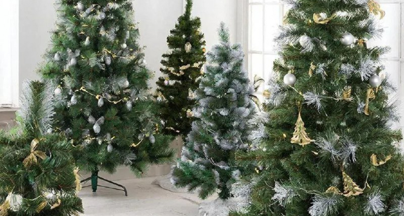 Чебоксарка лишилась денег, покупая новогоднюю елку через мессенджер