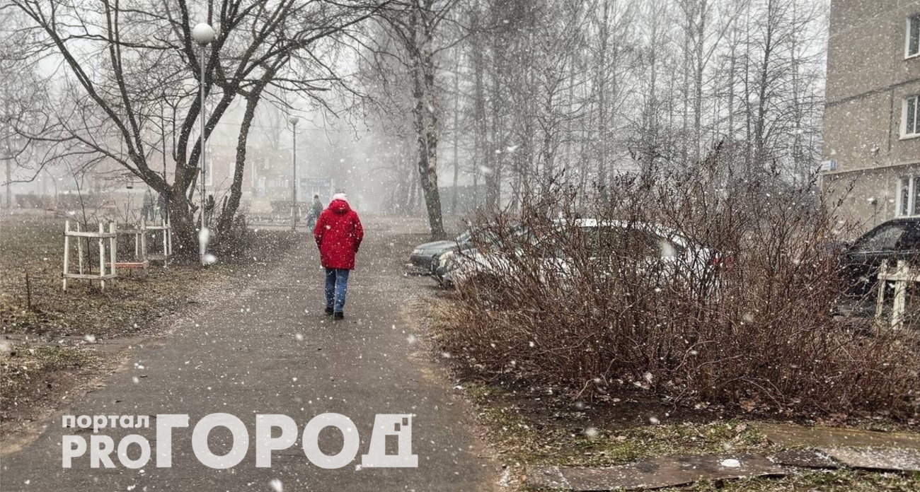Забудьте о зиме: синоптики предупредили о тепле в Центральной России