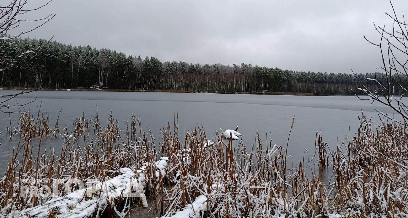 До зимы осталось пережить пасмурную неделю: когда в Чувашии ляжет снежный покров, а дожди прекратятся