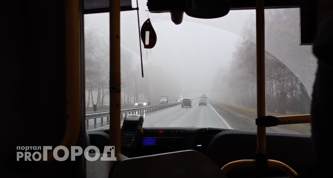 Днем и ночью одна температура: о погоде в Чувашии на 3 декабря