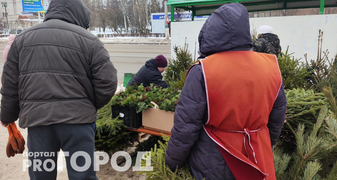 Новый штраф за установку новогодней елки с 1 декабря - коснется всех жильцов многоквартирных домов