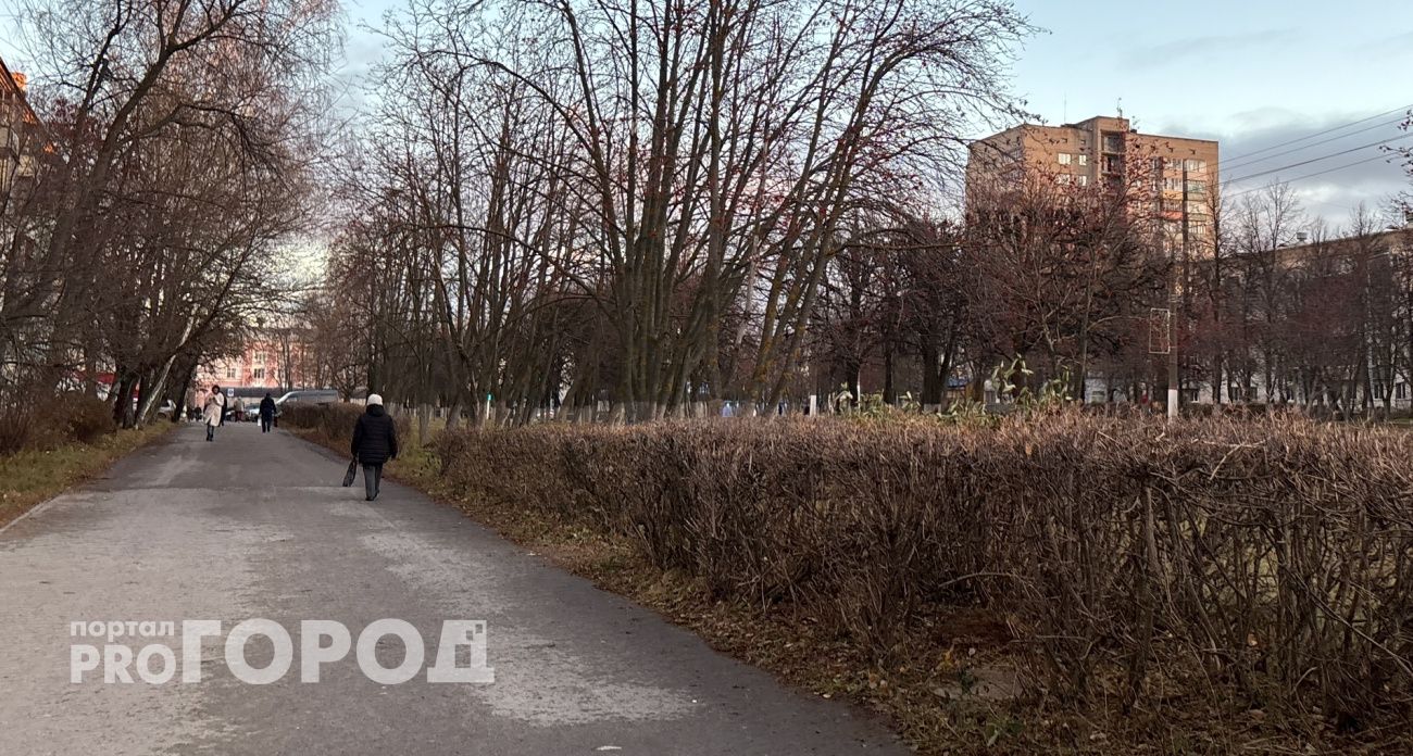 Пока без снега и дождя: пятничный прогноз погоды в Чувашии 