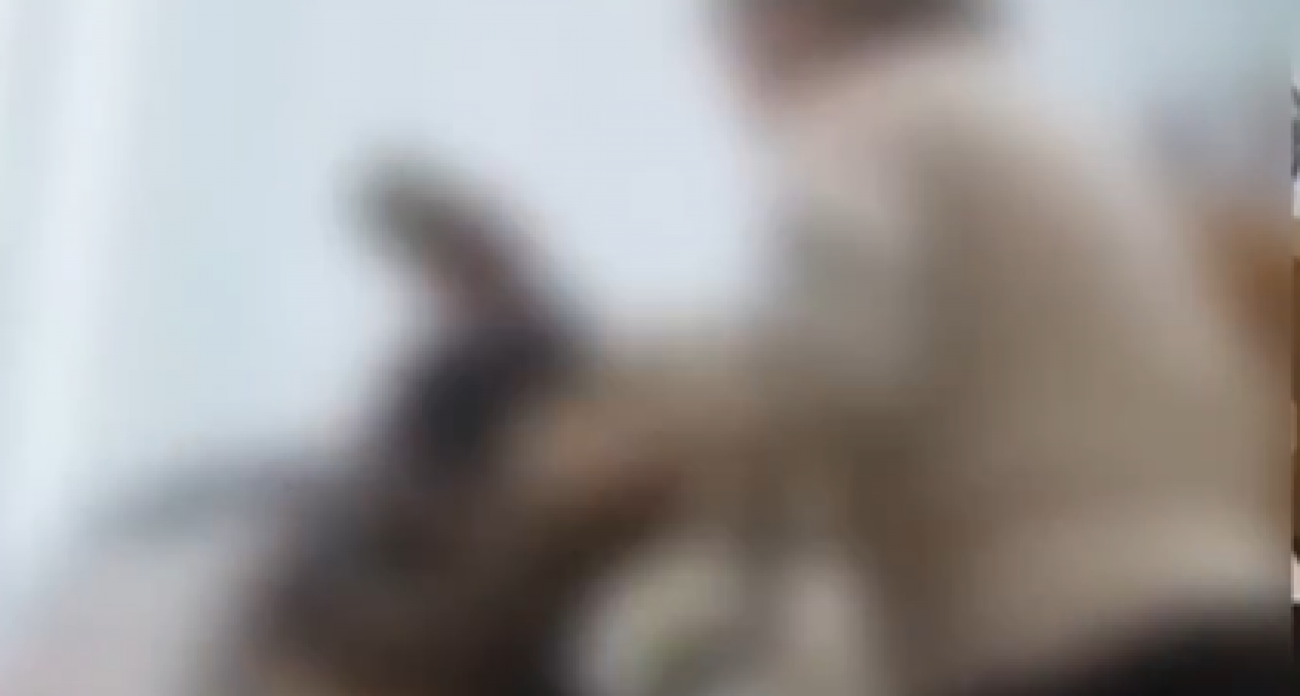 В канашской школе сняли драку учительницы и пятиклассницы из-за верхней одежды