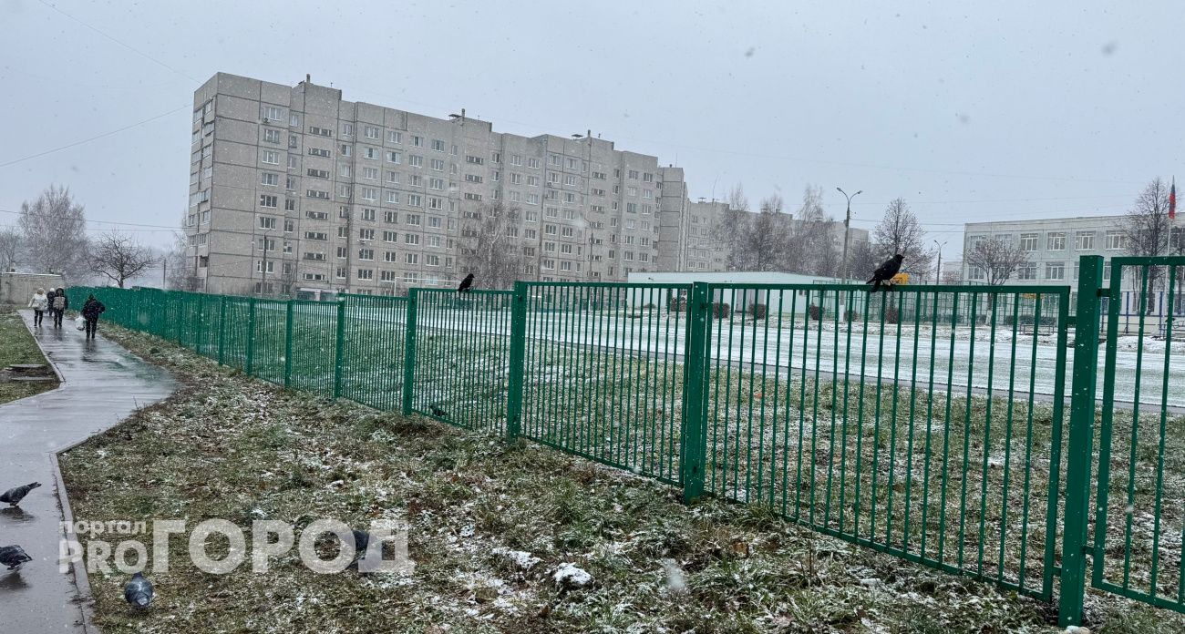 Зима вступает в свои права: погода в Чувашии на 8 декабря