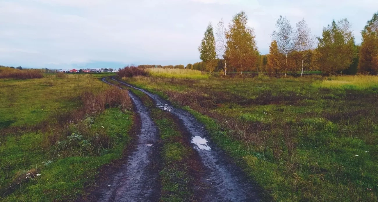 Чебоксары: главные новости за 7 декабря - владельцев земель наказали за нарушения, школа срывает сроки ремонта