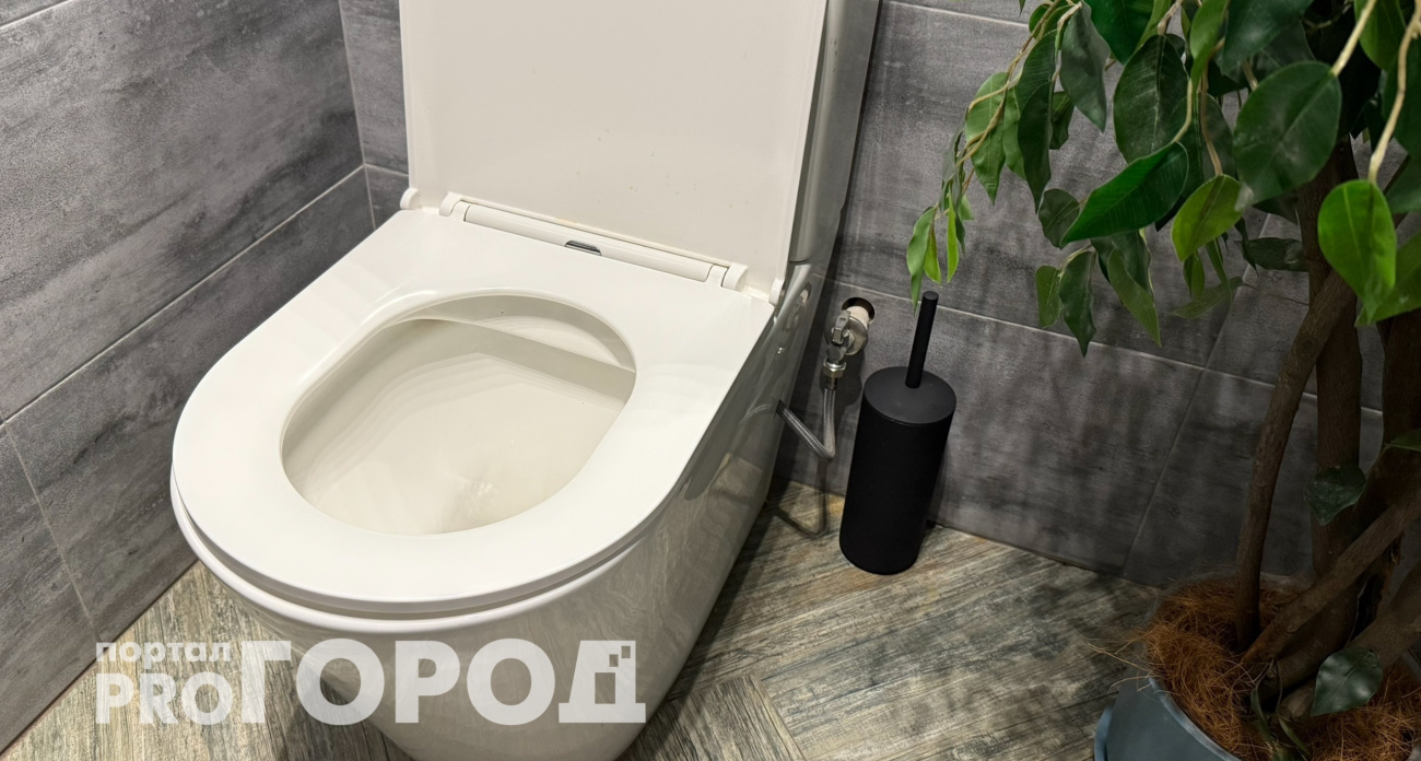 Дорогущие освежители больше не нужны: один трюк с ершиком, который избавит от запаха в туалете навсегда