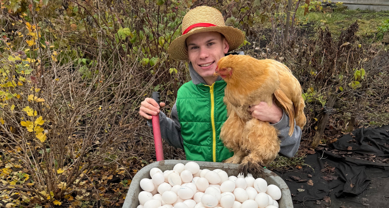 После этого ваш холодильник будет набит домашними яйцами: молодой фермер из Чувашии раскрыл главный секрет
