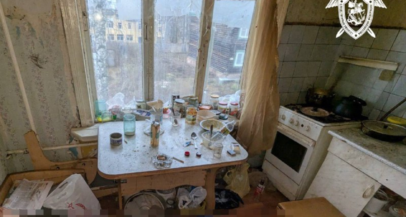 Жительница Чувашии расправилась с мужчиной с помощью ножа