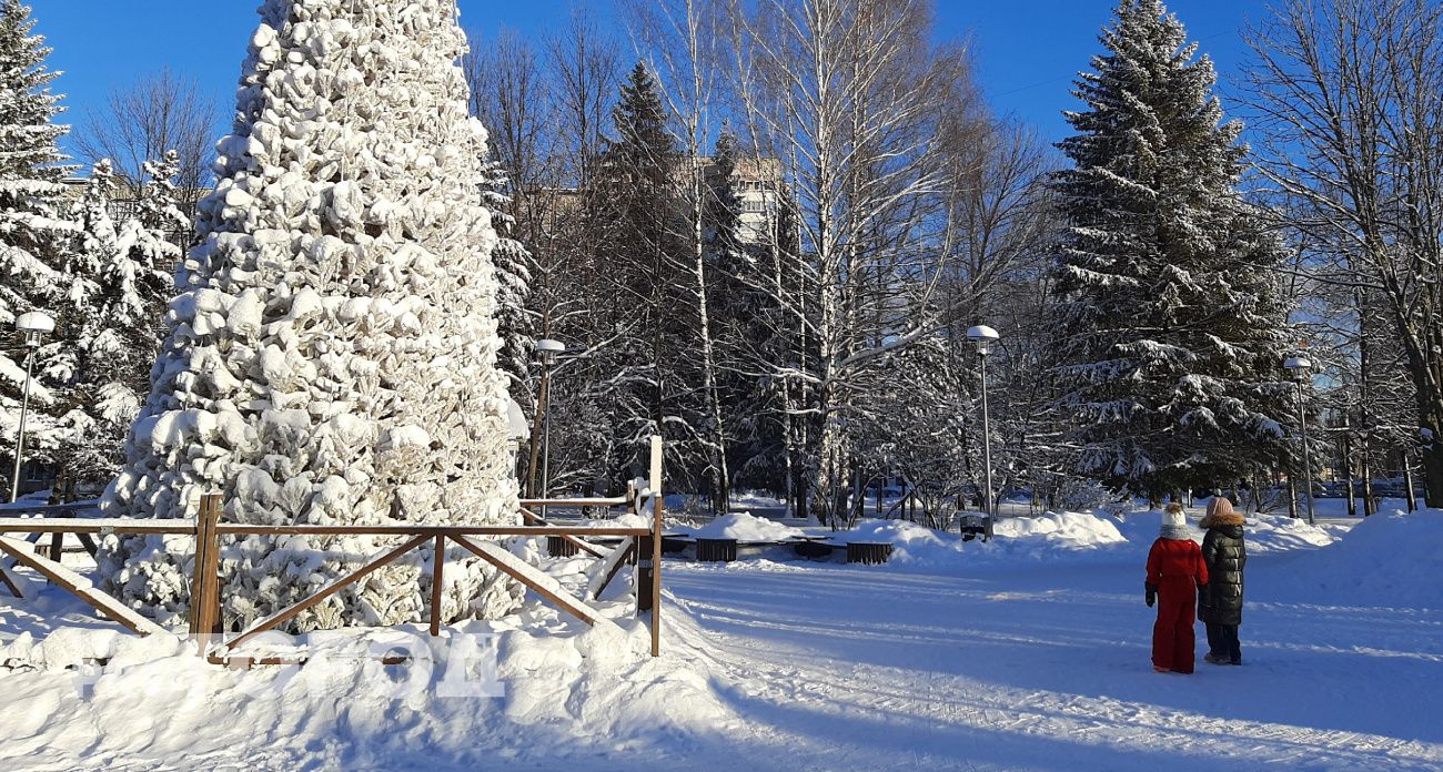Жители Чувашии пережили первые сильные морозы, но дальше погода улучшится
