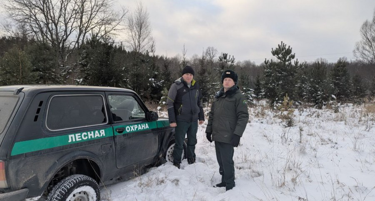 В Чувашии перед Новым годом усилили защиту лесов от желающих обзавестись новой елкой