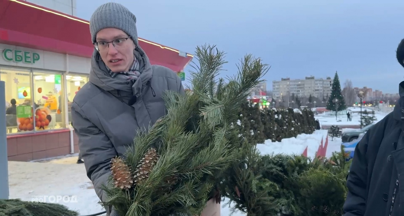 Сколько стоит живая елка в Чебоксарах и почему все больше горожан выбирают искусственные ели: "Губить дерево ради момента – неправильно"