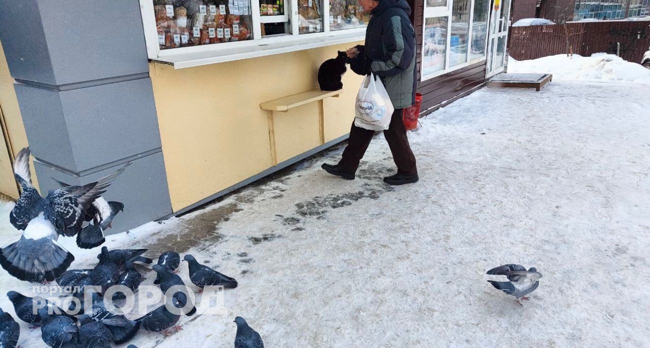 В Чебоксарах занялись выявлением незаконно построенных торговых киосков