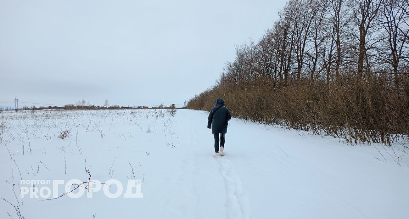 В Батыревском районе пустят с молотка земли, принадлежащие иностранцам