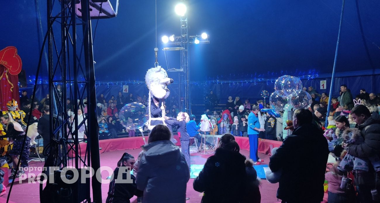 В Чувашии появятся цирк, планетарий и дублер Марпосадского шоссе