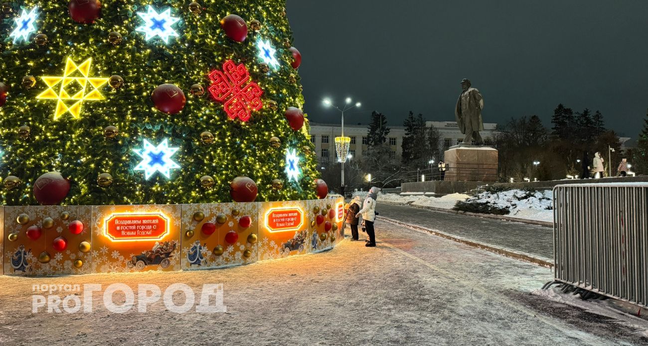 В Чувашии снова снег: погода на 28 декабря