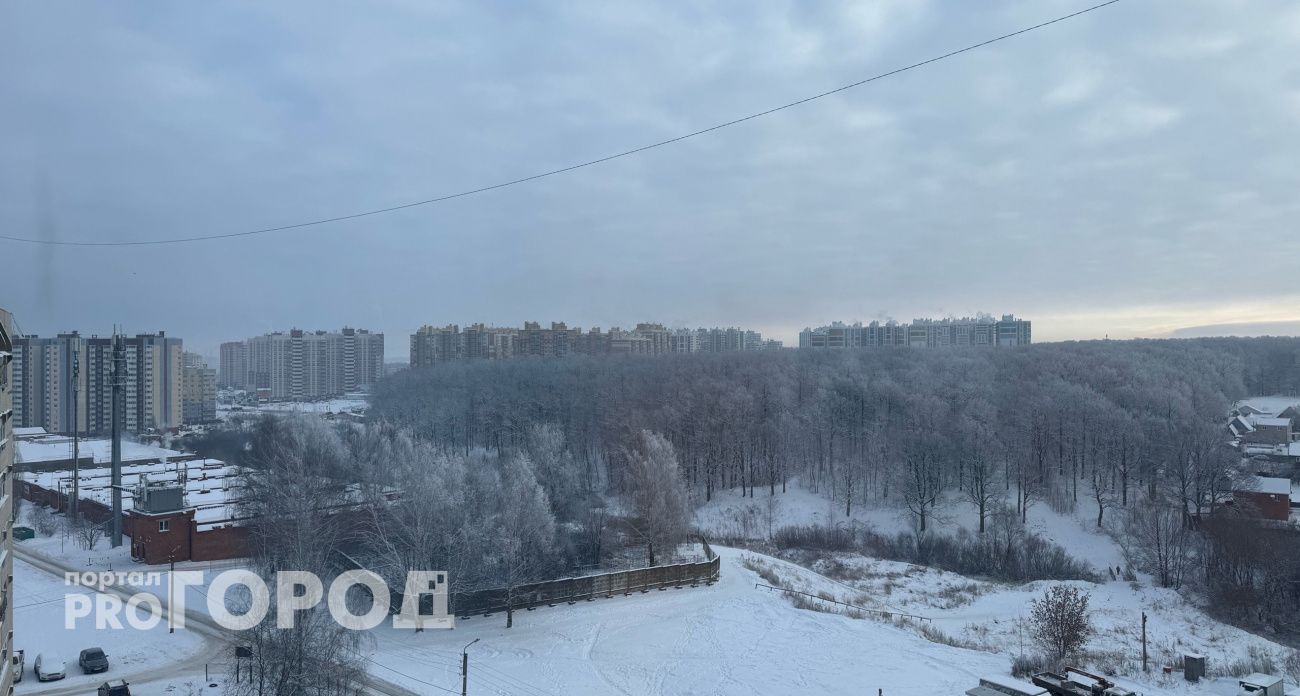 От мороза до переохлажденного дождя: какую погоду ждать в Чувашии на новогодние каникулы