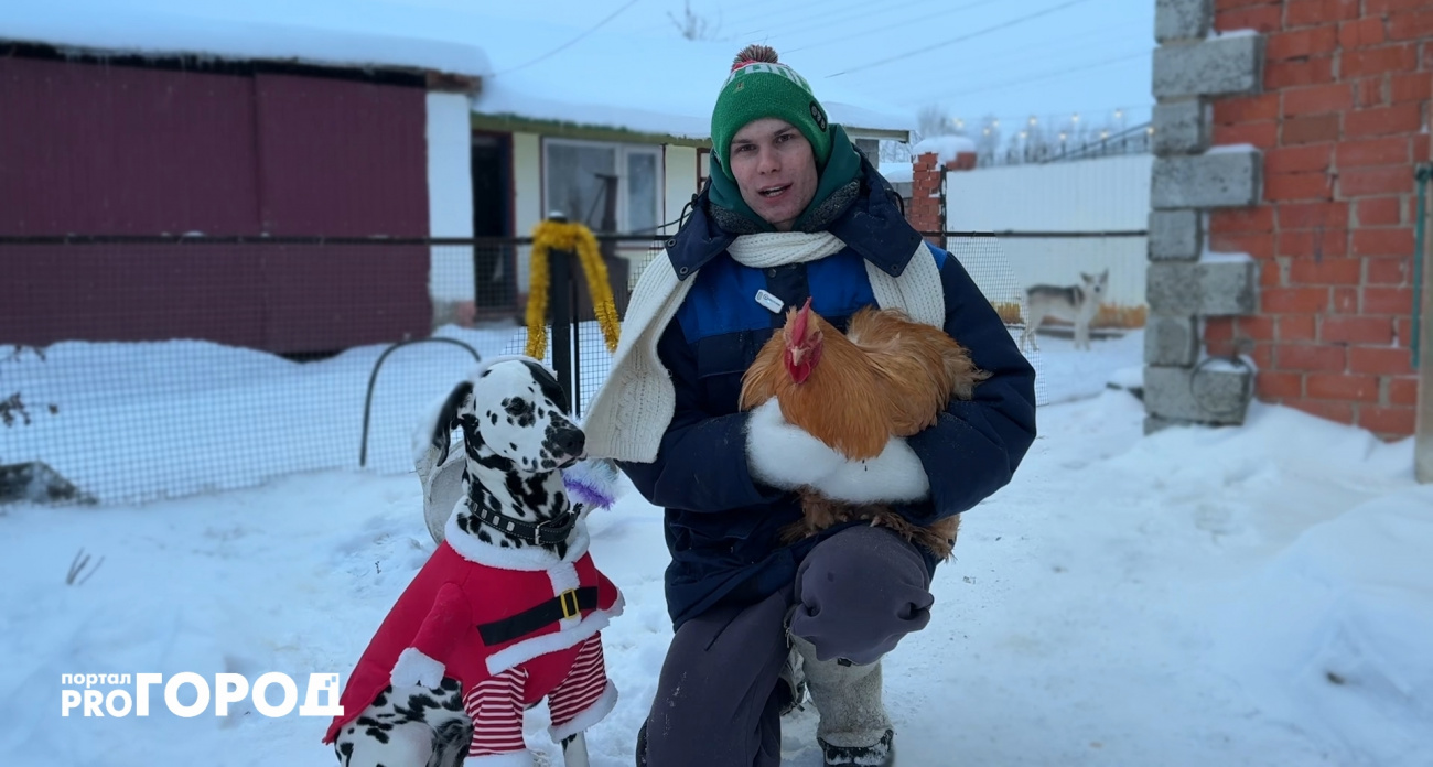Блогеры, артисты и музыканты поздравляют жителей Чувашии с Новым годом