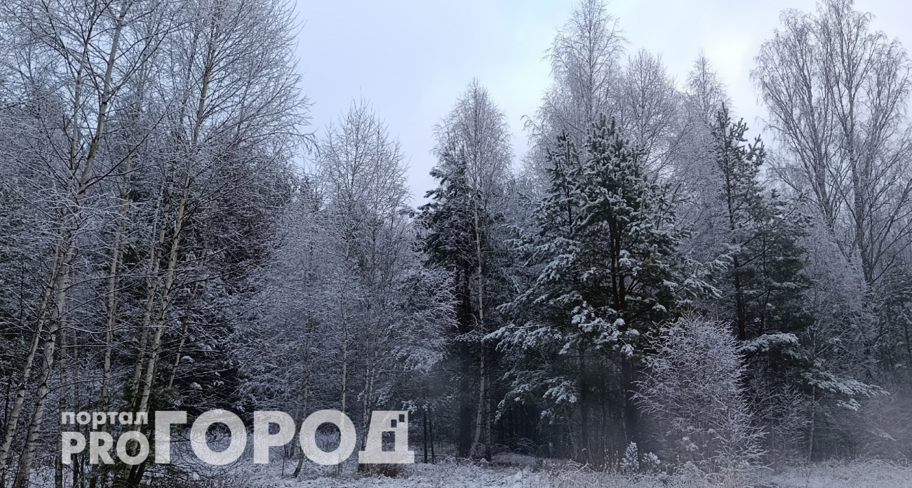 Такая погода 5 января не сулит ничего хорошего летом: что нужно сделать в Федулов день