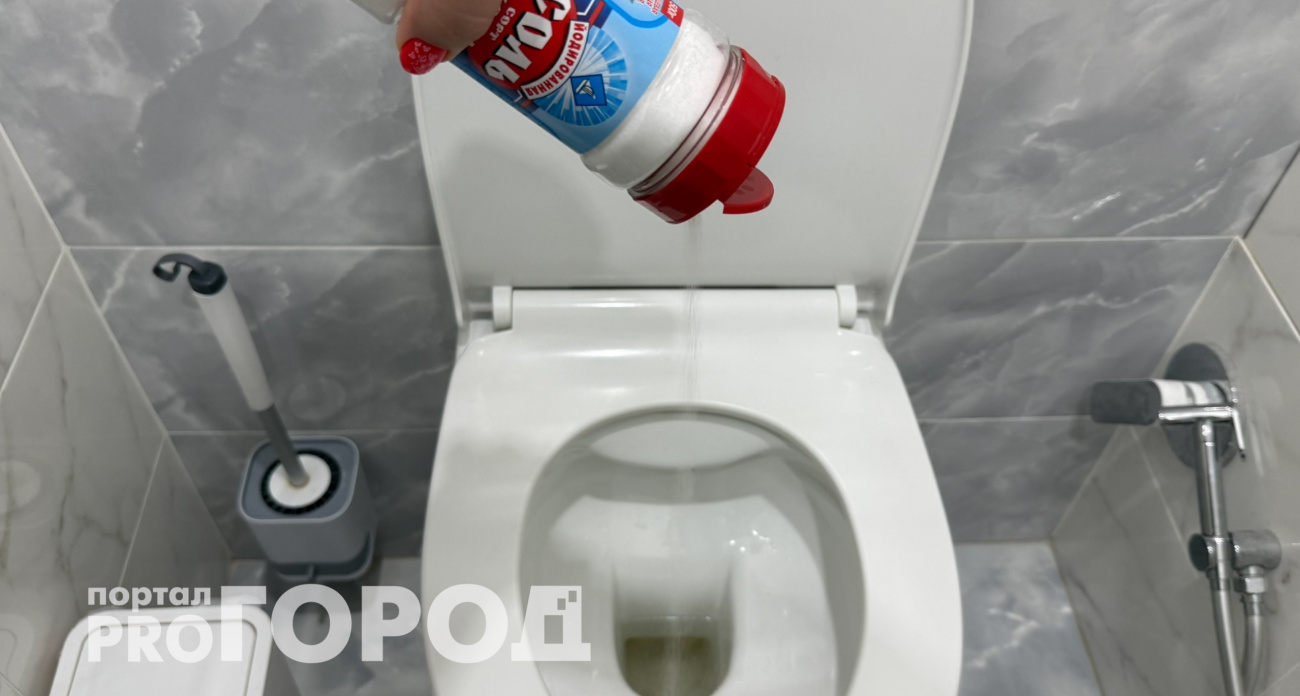 Вечером сыплю соль в унитаз и раковину: на утро радуюсь роскошному результату