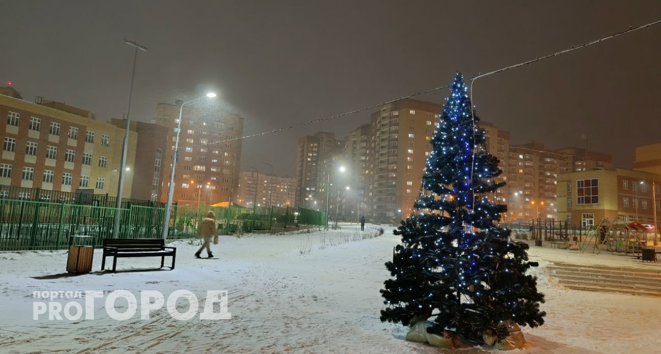 В ночь с пятницы на субботу в Чувашии снова пойдет снег: днем снегопад усилится