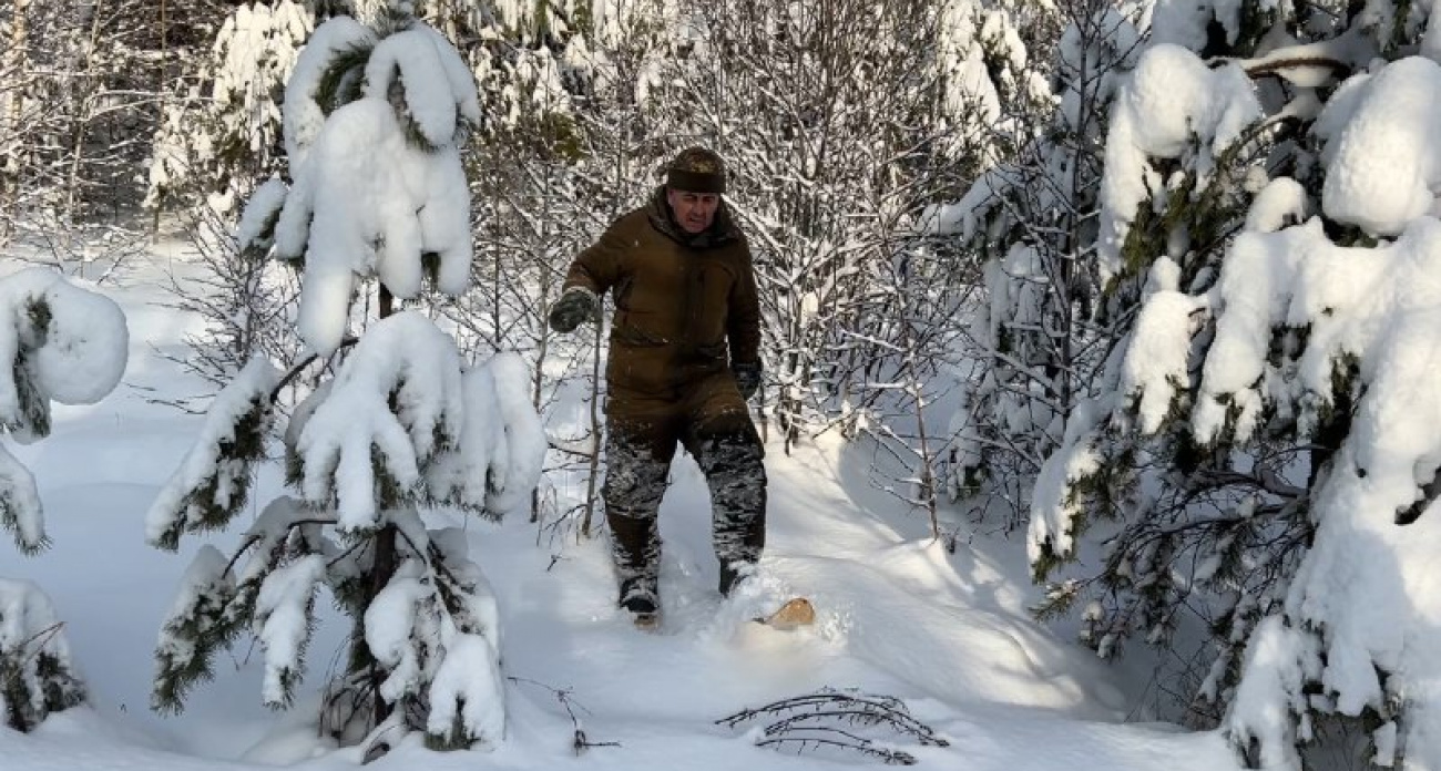 Инспекторы Минприроды Чувашии пройдут 5 тысяч километров ради учета зверей