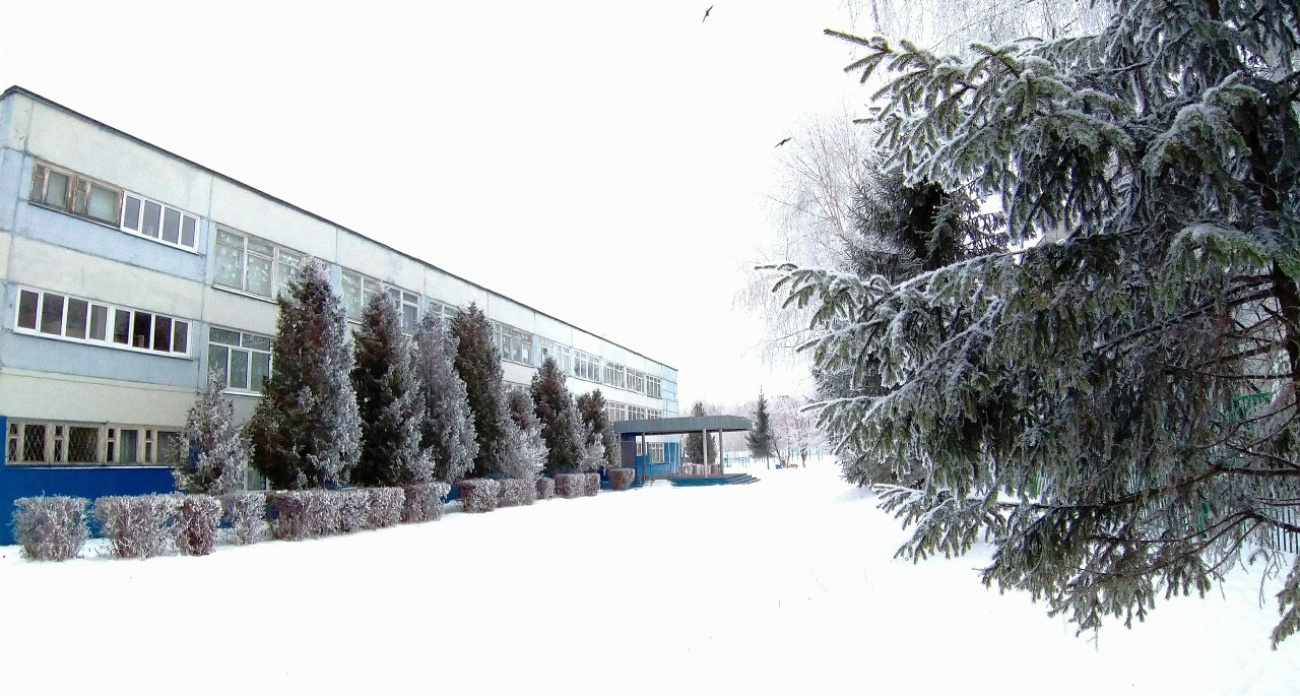 Ученики чебоксарской школы № 50 массово пропустили уроки из-за болезни