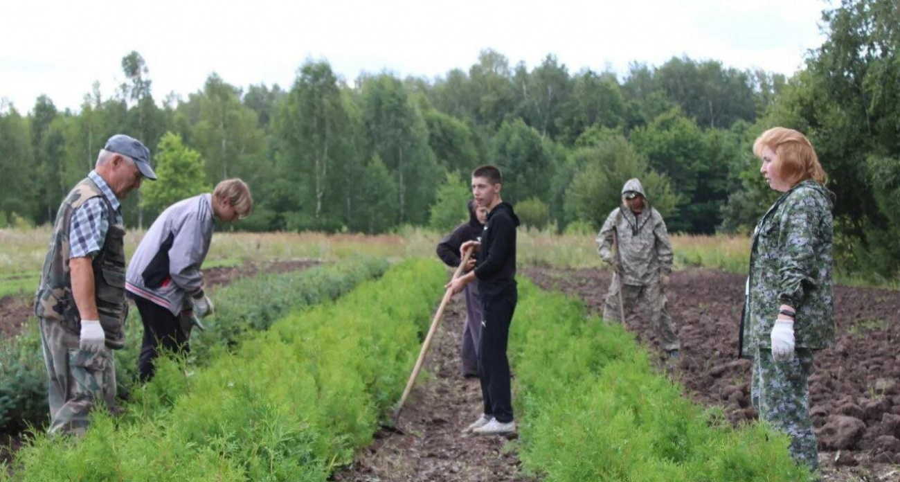 Чувашия уже шесть лет подряд входит в десятку самых экологически чистых регионов России