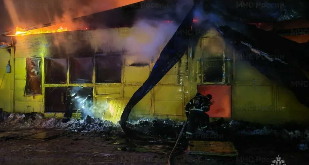 В Новых Лапсарах сгорел цех птицефабрики