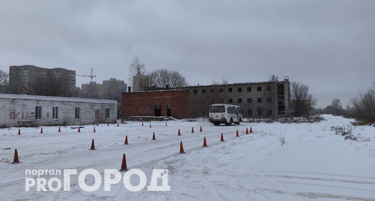 Из дома можно не выходить: автошколы приняли революционное решение для будущих водителей