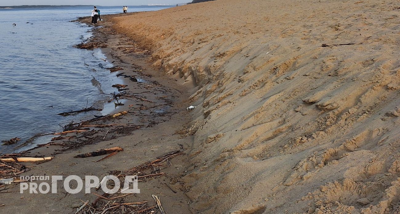 Незаконный песчаный карьер в Шумерлинском районе обернулся ущербом в 450 млн рублей