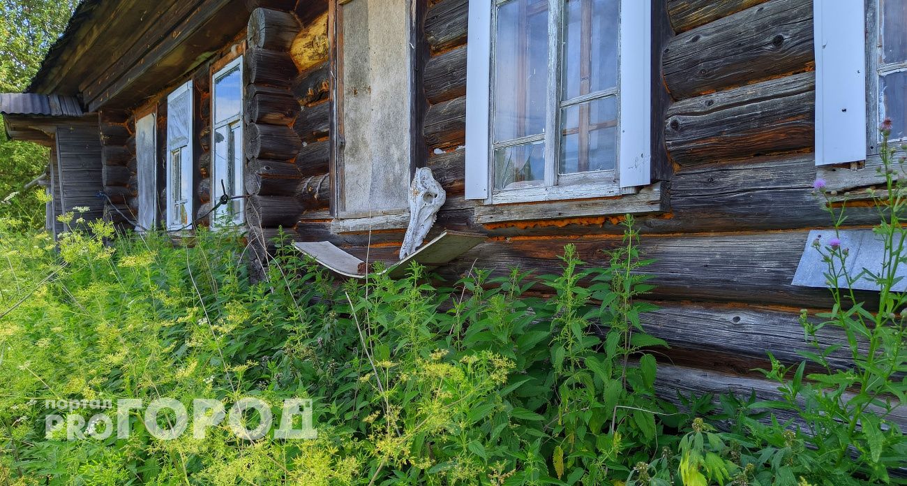 Кувалда, Безбожник, Юность и другие деревни-призраки, затерянные в лесах Чувашии: как до них добраться