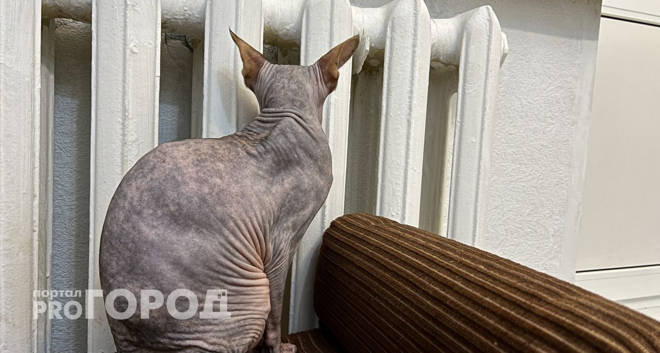 Центр Чебоксар остался без отопления 