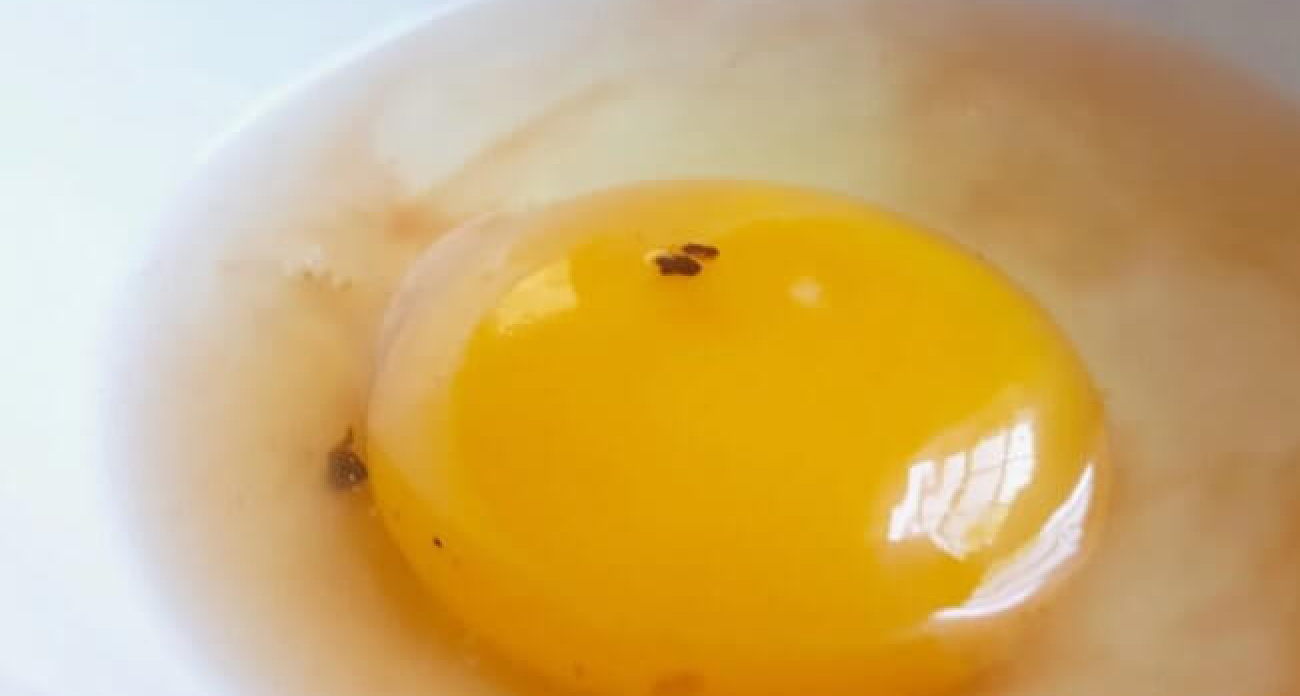 В желтке коричневое пятно – можно ли есть такое яйцо?