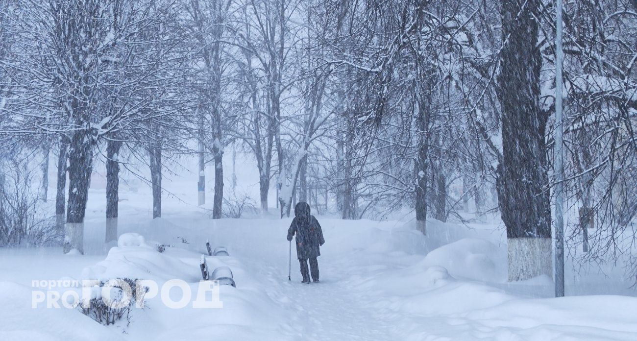 Пасмурно и снежно: февраль в Чувашии начнется с метелей
