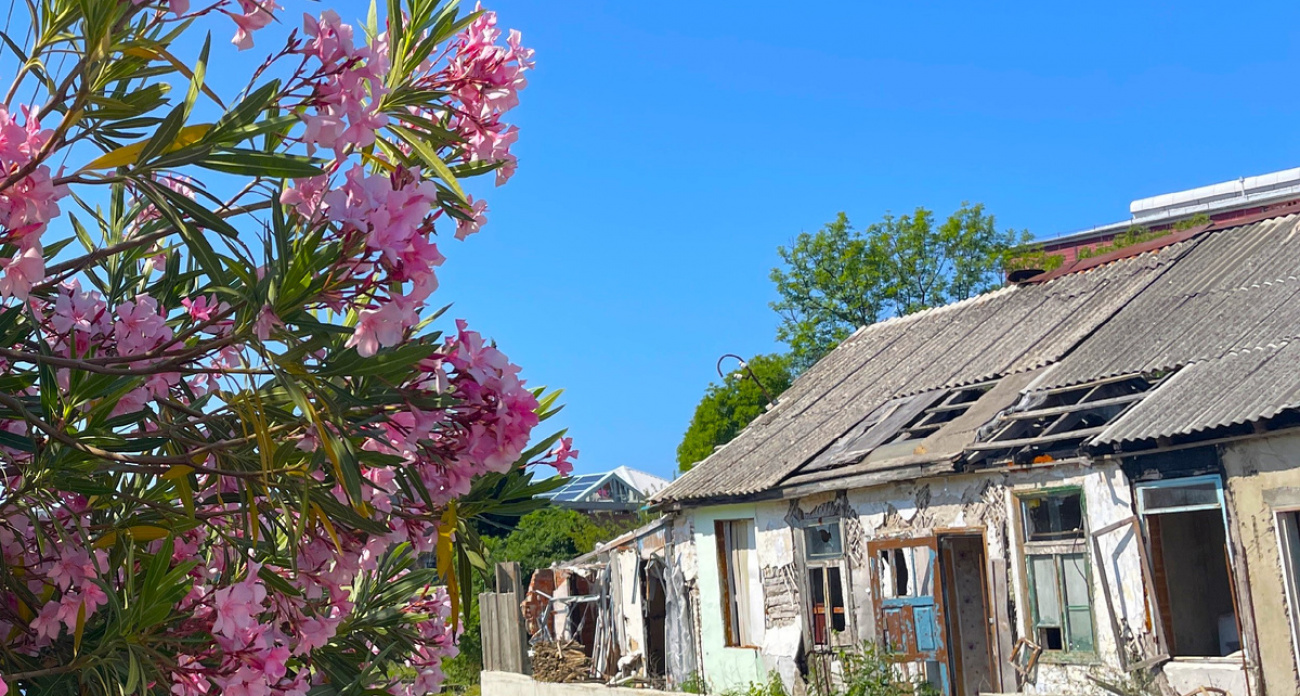 Заброшки у моря под Туапсе: приехав на место, поняла, почему дома пустуют